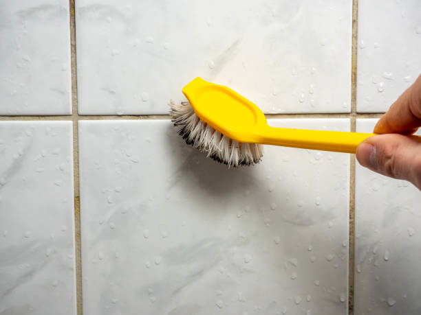 Best Certified Mold Removal  in Patrick Springs, VA