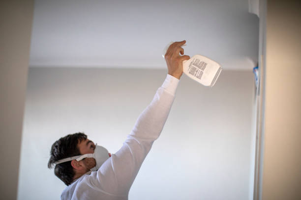 Best Attic Mold Removal  in Patrick Springs, VA