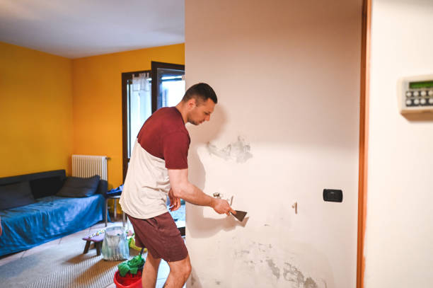  Patrick Springs, VA Mold Removal Pros